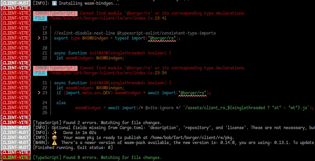 Missing @borger/rs module