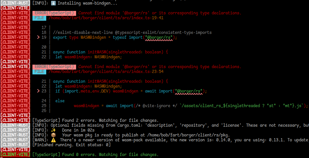 Missing @borger/rs module