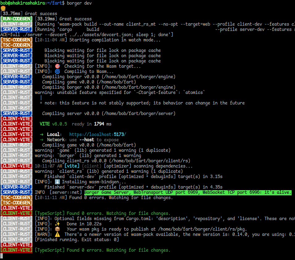 Output of borger dev